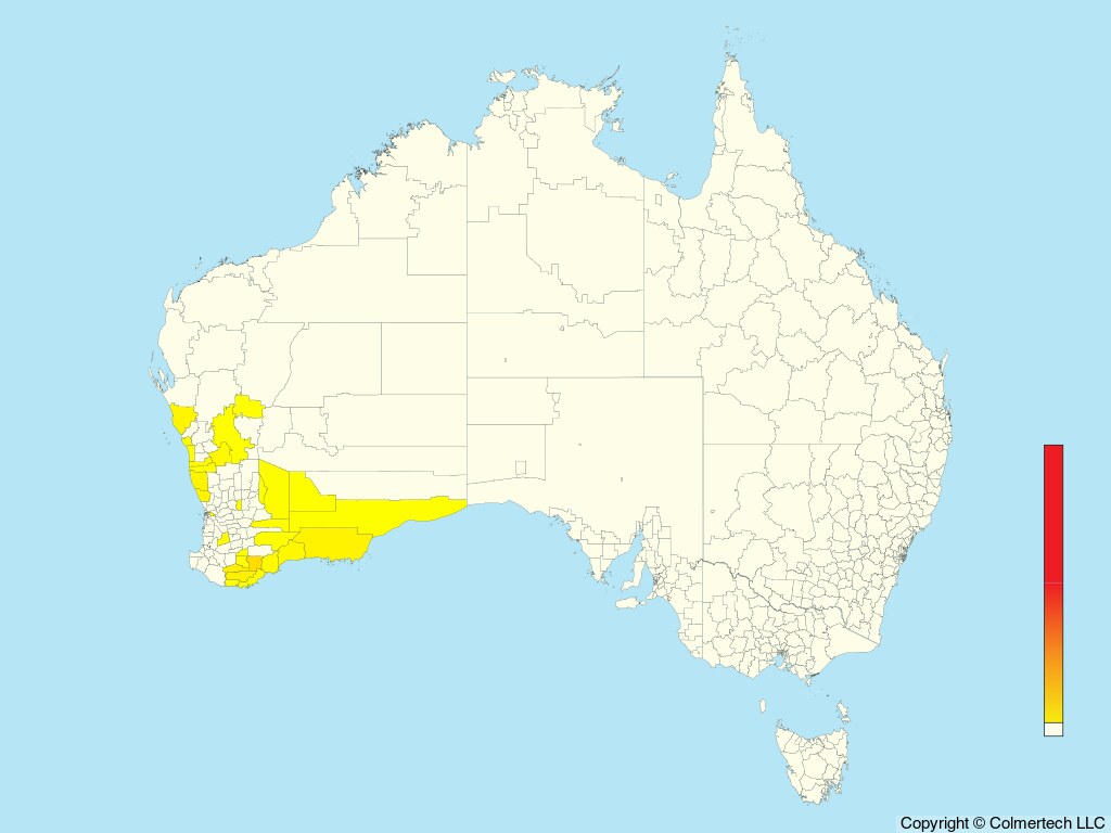 Western Fieldwren (Calamanthus montanellus) - Australia