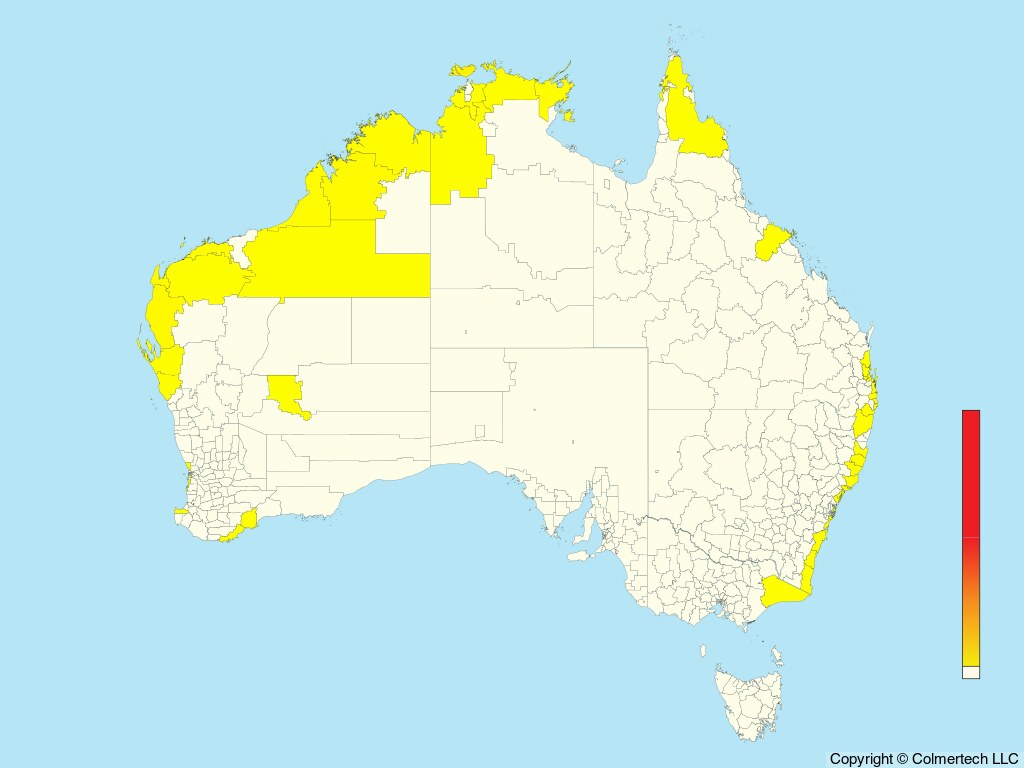 Streaked Shearwater (Calonectris leucomelas) - Australia