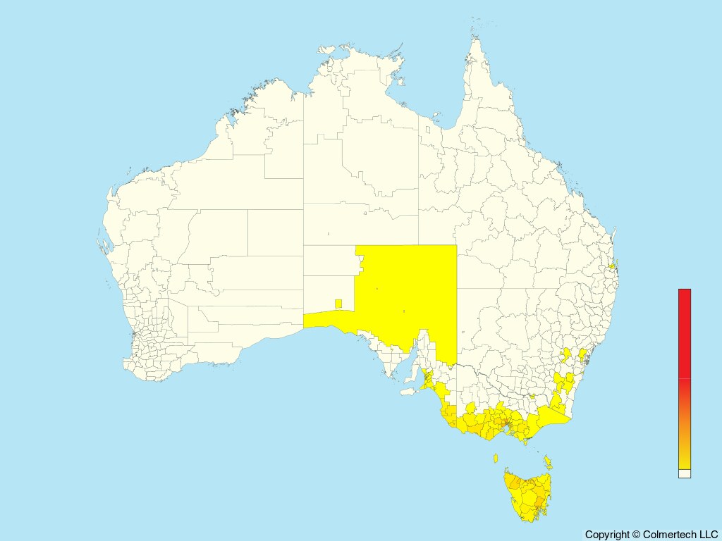European Greenfinch (Chloris chloris) - Australia