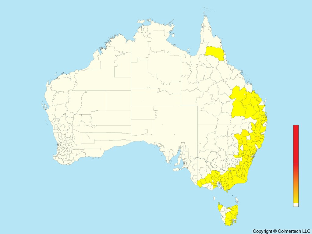 Spotted Quail-thrush (Cinclosoma punctatum) - Australia