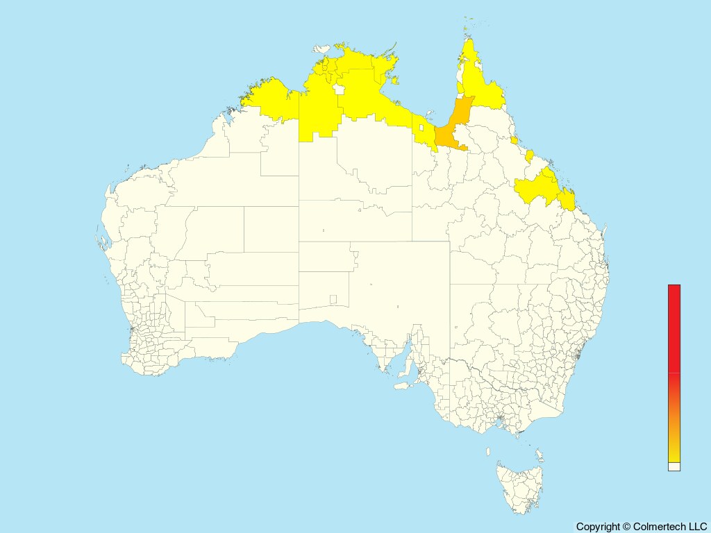 Zitting Cisticola (Cisticola juncidis) - Australia