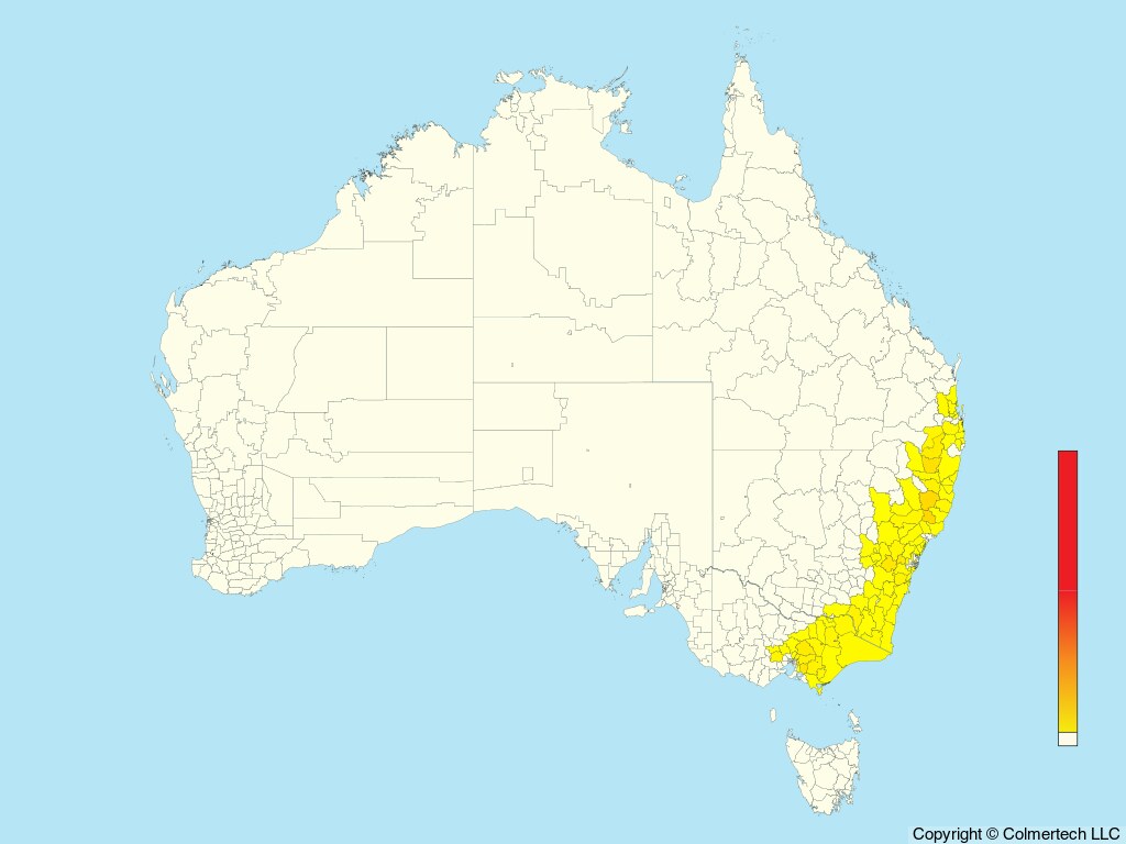 Red-browed Treecreeper (Climacteris erythrops) - Australia