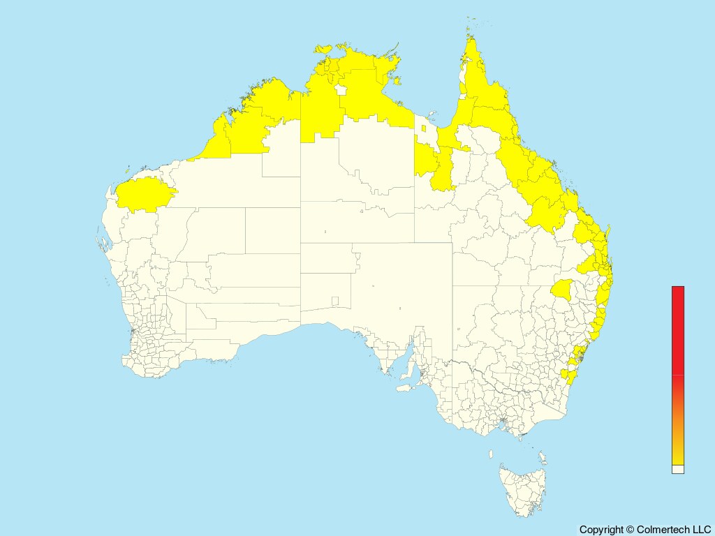 Oriental Cuckoo (Cuculus optatus) - Australia