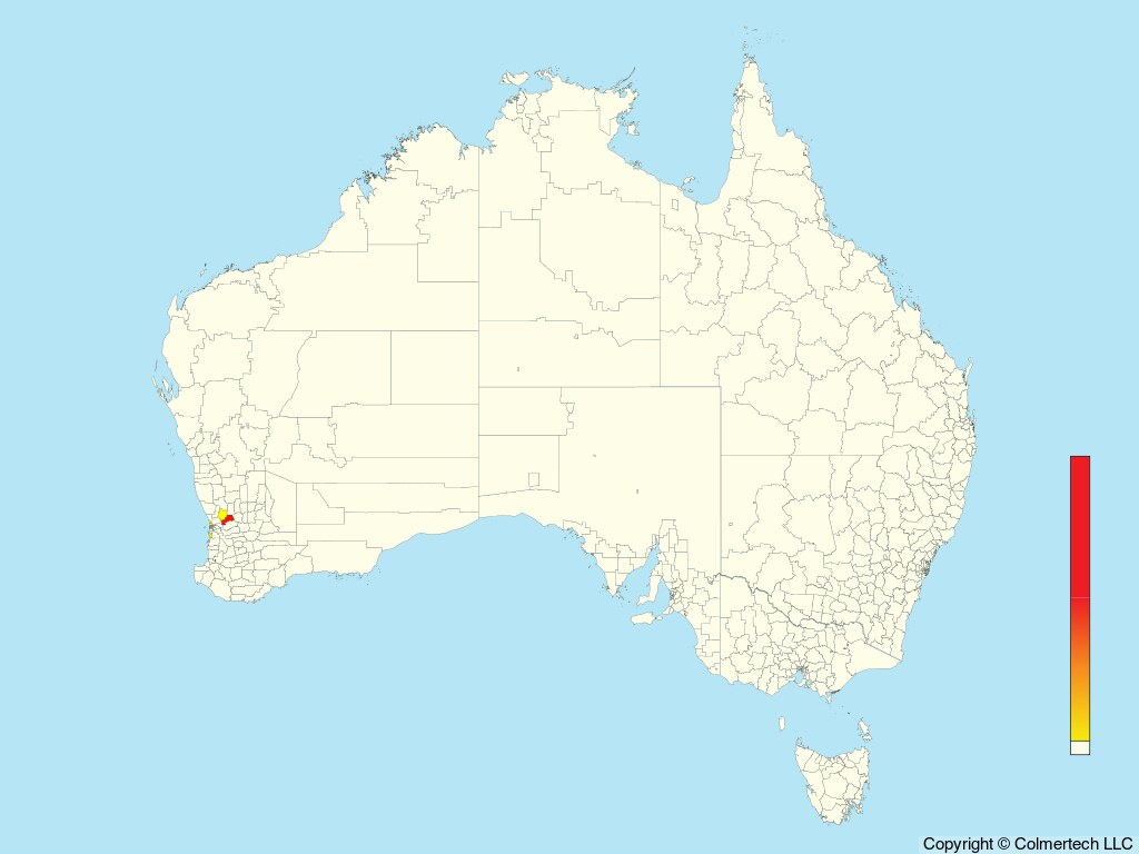 Mute Swan (Cygnus olor) - Australia