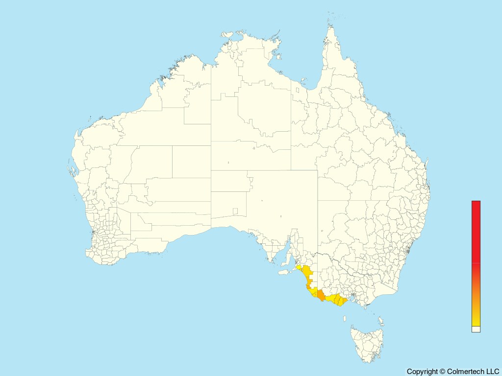 Rufous Bristlebird (Dasyornis broadbenti) - Australia
