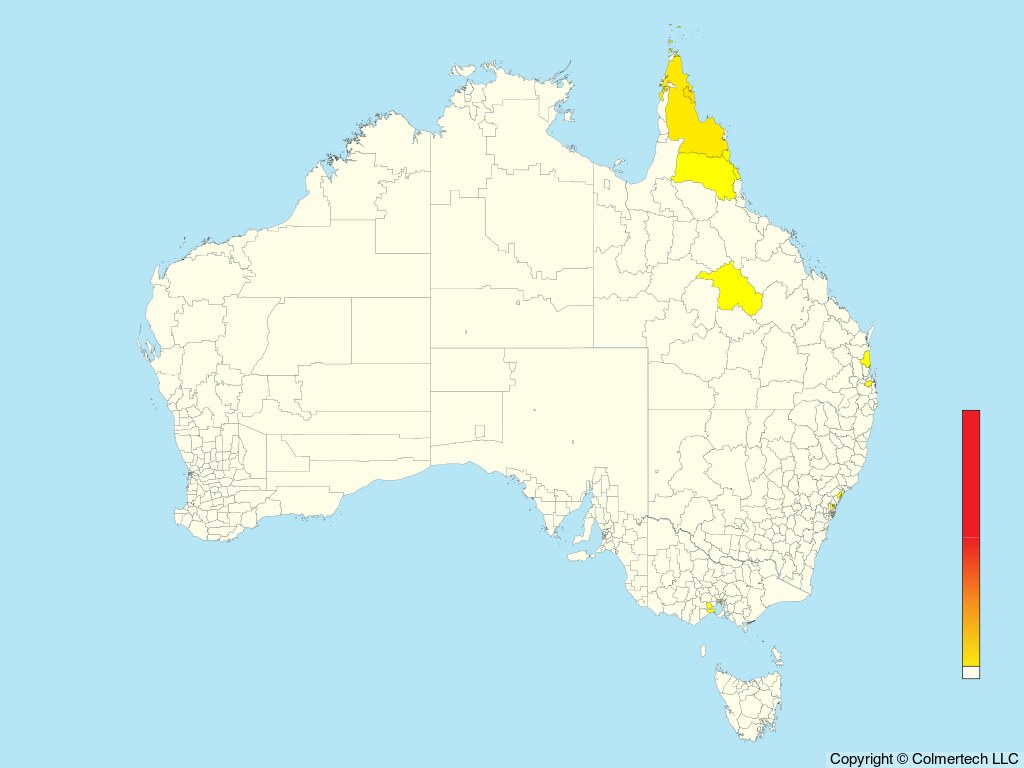 Papuan Eclectus (Eclectus polychloros) - Australia
