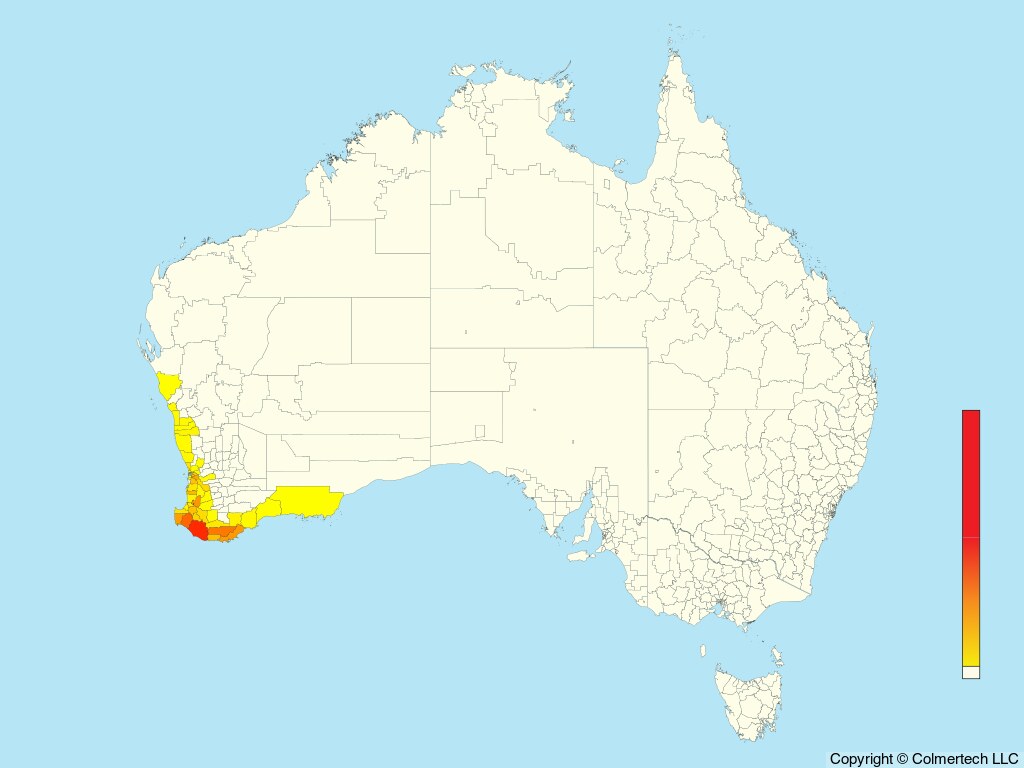 White-breasted Robin (Eopsaltria georgiana) - Australia