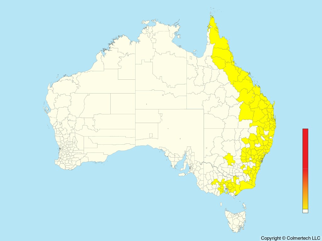 White-throated Nightjar (Eurostopodus mystacalis) - Australia