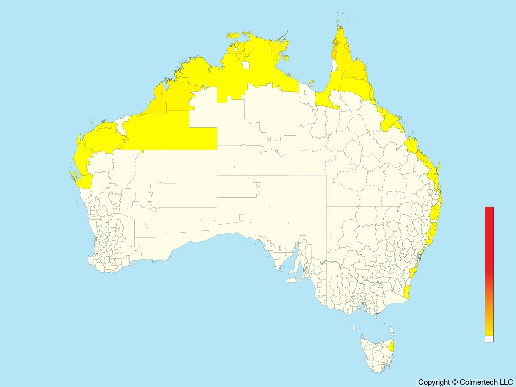 Lesser Frigatebird (Fregata ariel) - Australia
