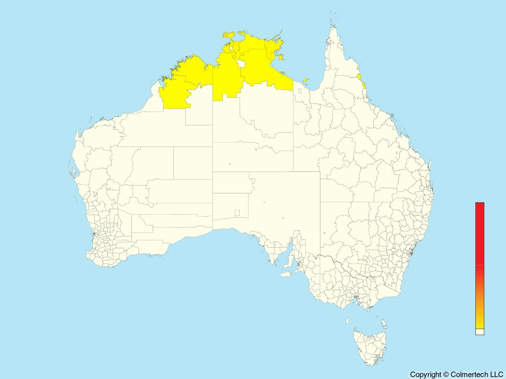 Chestnut Rail (Gallirallus castaneoventris) - Australia