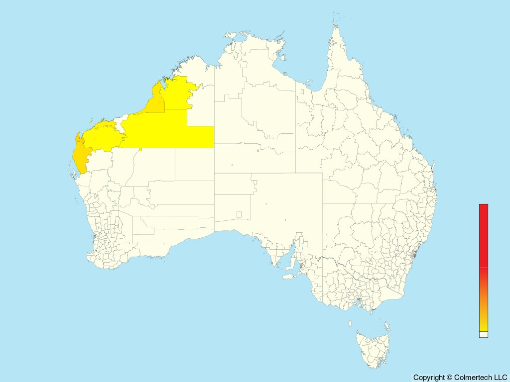 Dusky Gerygone (Gerygone tenebrosa) - Australia