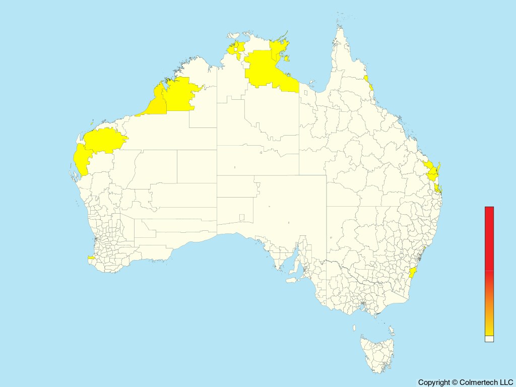 Asian Dowitcher (Limnodromus semipalmatus) - Australia