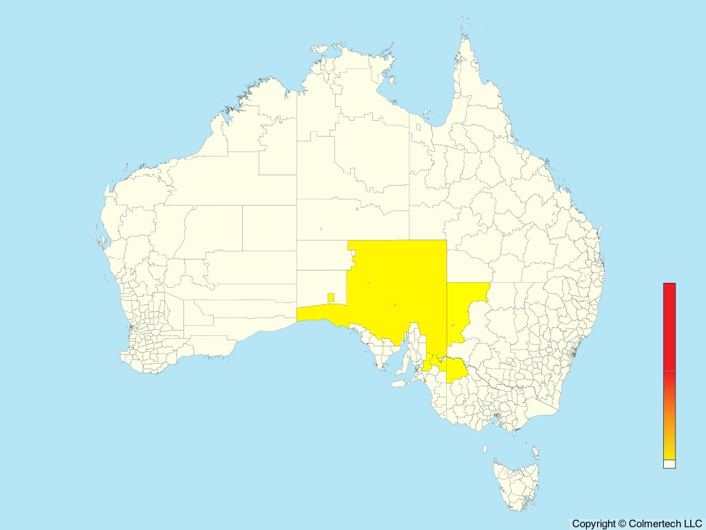 Black-eared Miner (Manorina melanotis) - Australia
