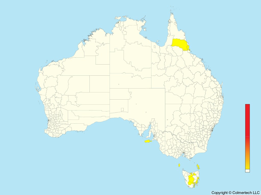 Wild Turkey (Meleagris gallopavo) - Australia