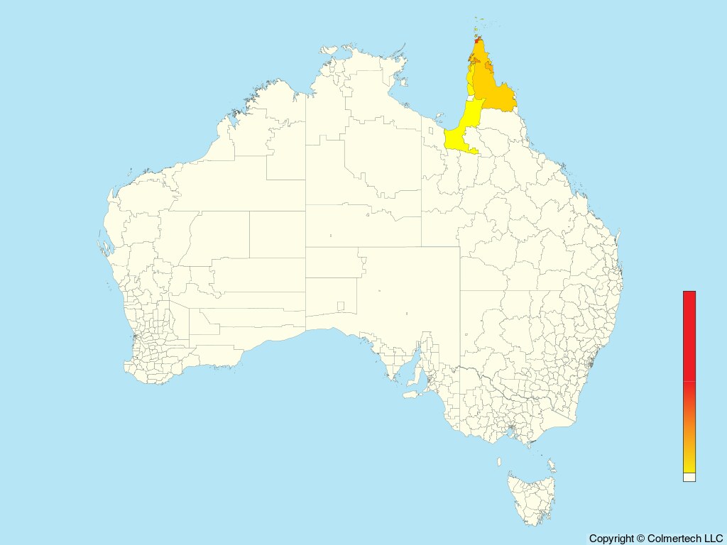 Graceful Honeyeater (Meliphaga gracilis) - Australia