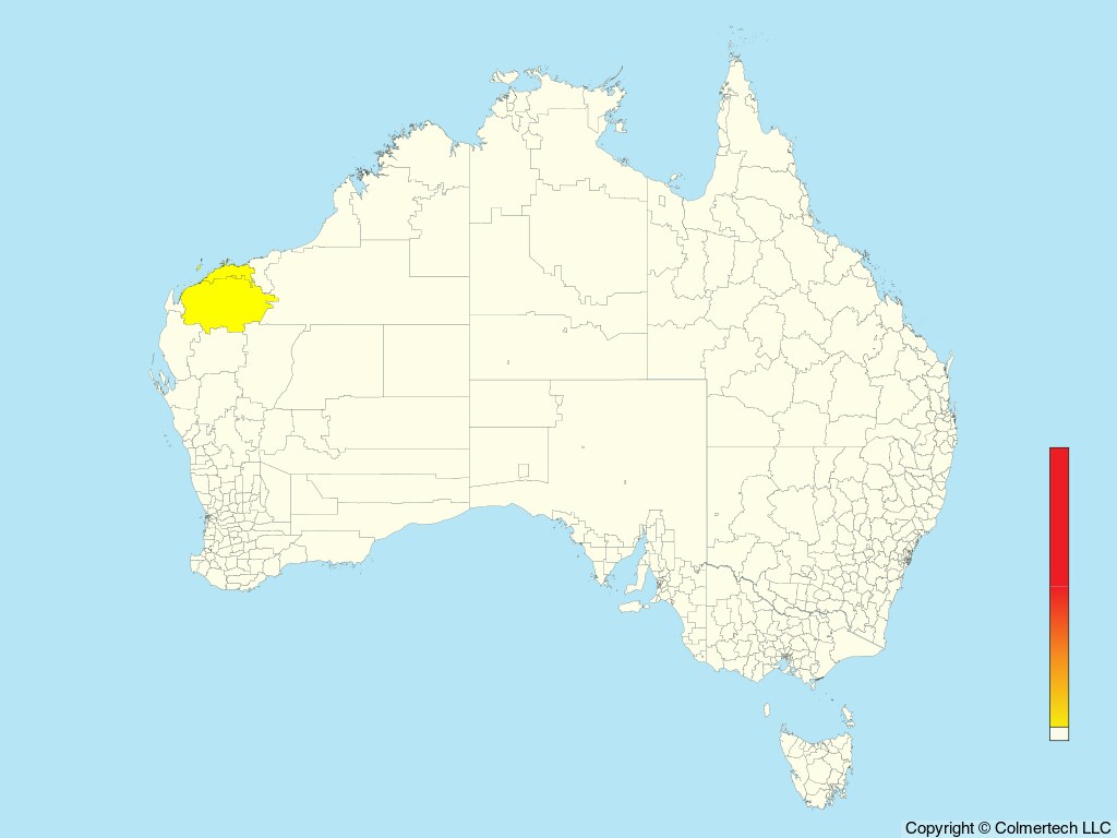 Blue Rock-Thrush (Monticola solitarius) - Australia