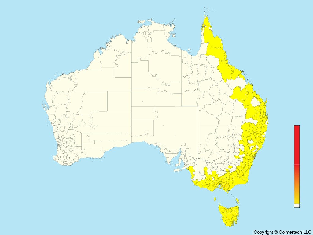 Satin Flycatcher (Myiagra cyanoleuca) - Australia