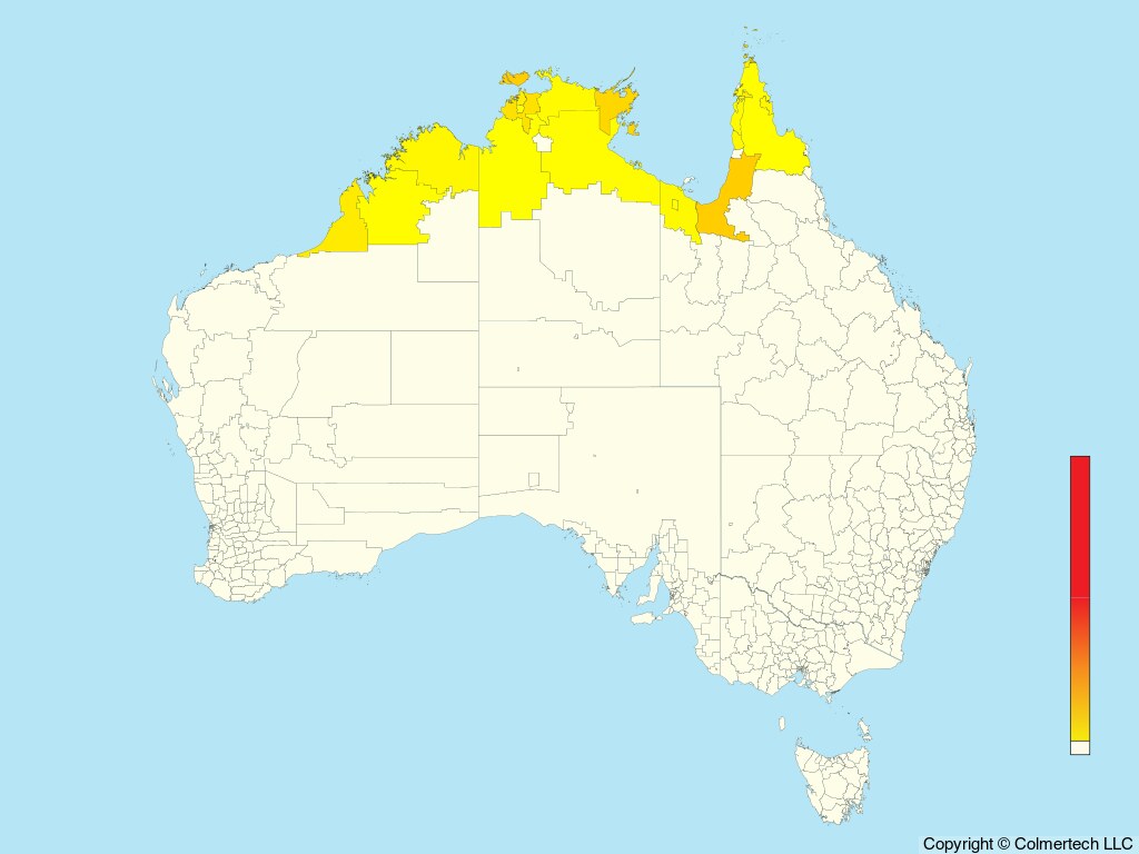 Red-headed Myzomela (Myzomela erythrocephala) - Australia