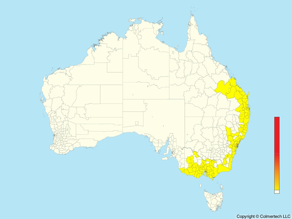 Powerful Owl (Ninox strenua) - Australia