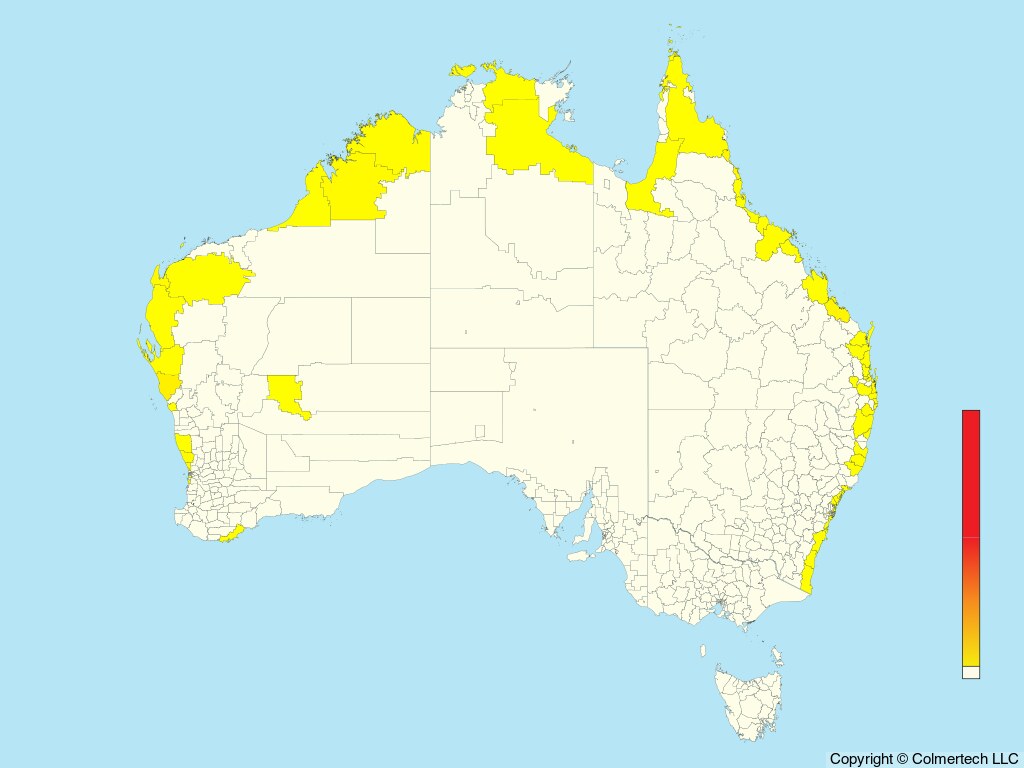 Sooty Tern (Onychoprion fuscatus) - Australia