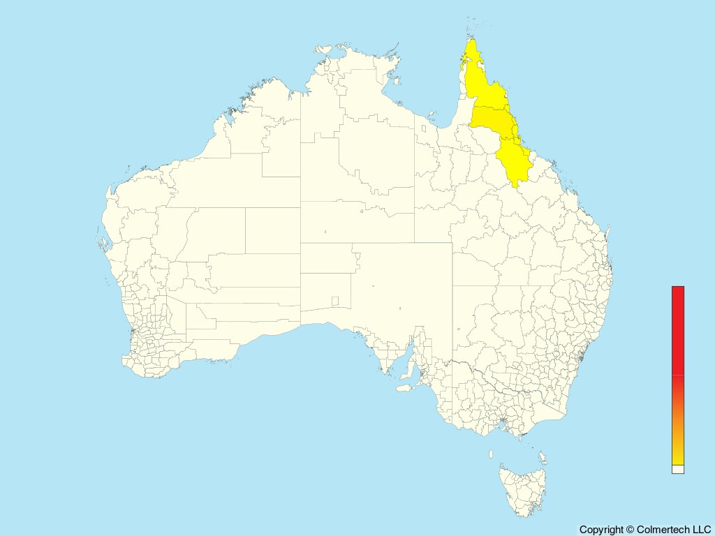 Fernwren (Oreoscopus gutturalis) - Australia