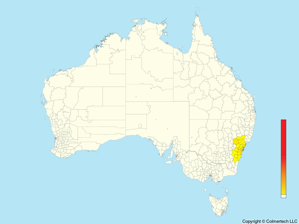 Rockwarbler (Origma solitaria) - Australia