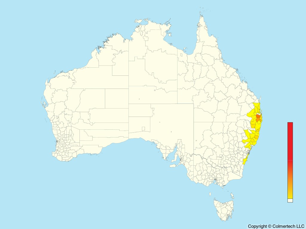 Australian Logrunner (Orthonyx temminckii) - Australia