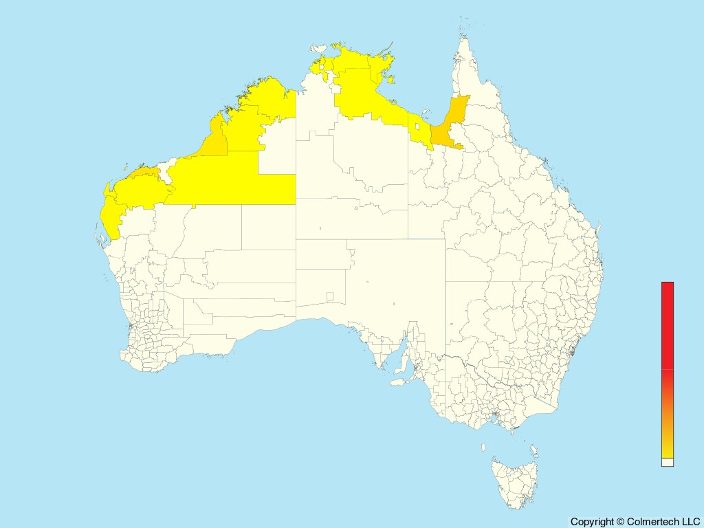 White-breasted Whistler (Pachycephala lanioides) - Australia