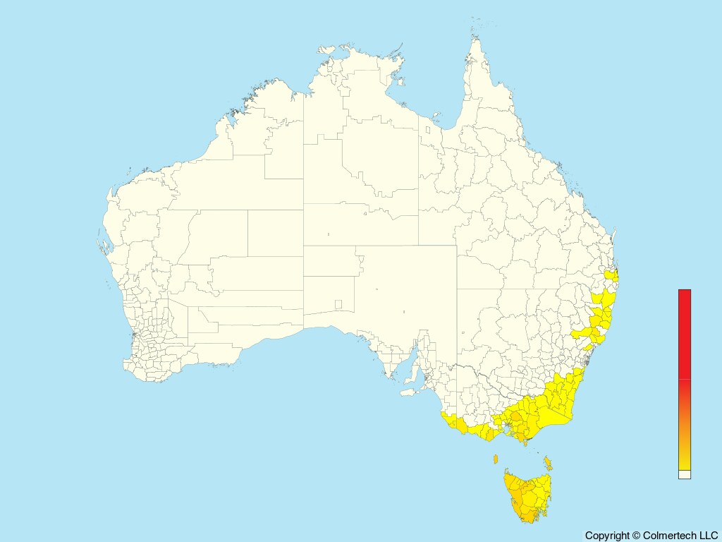 Olive Whistler (Pachycephala olivacea) - Australia