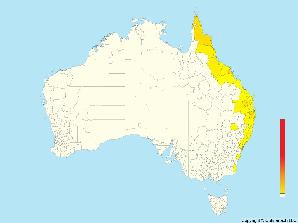 Noisy Pitta (Pitta versicolor) - Australia
