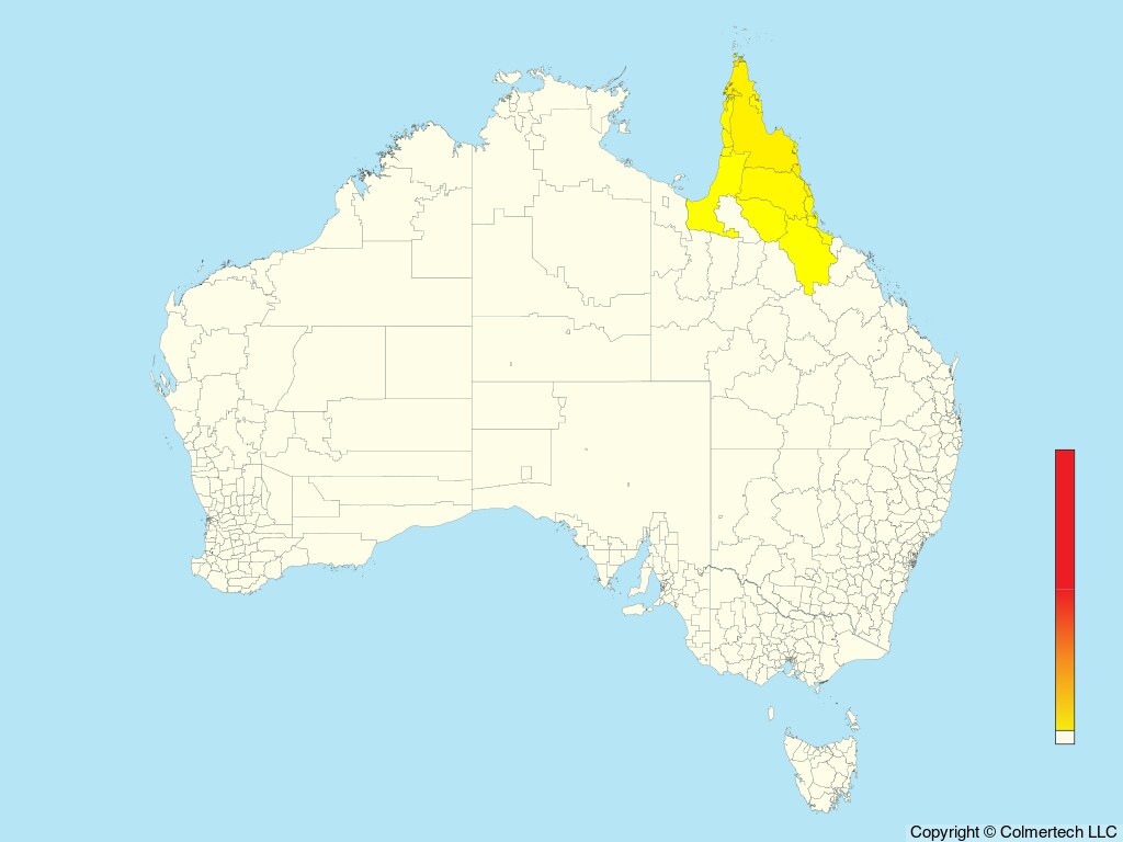 Papuan Frogmouth (Podargus papuensis) - Australia