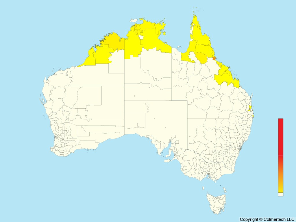 White-browed Crake (Poliolimnas cinereus) - Australia