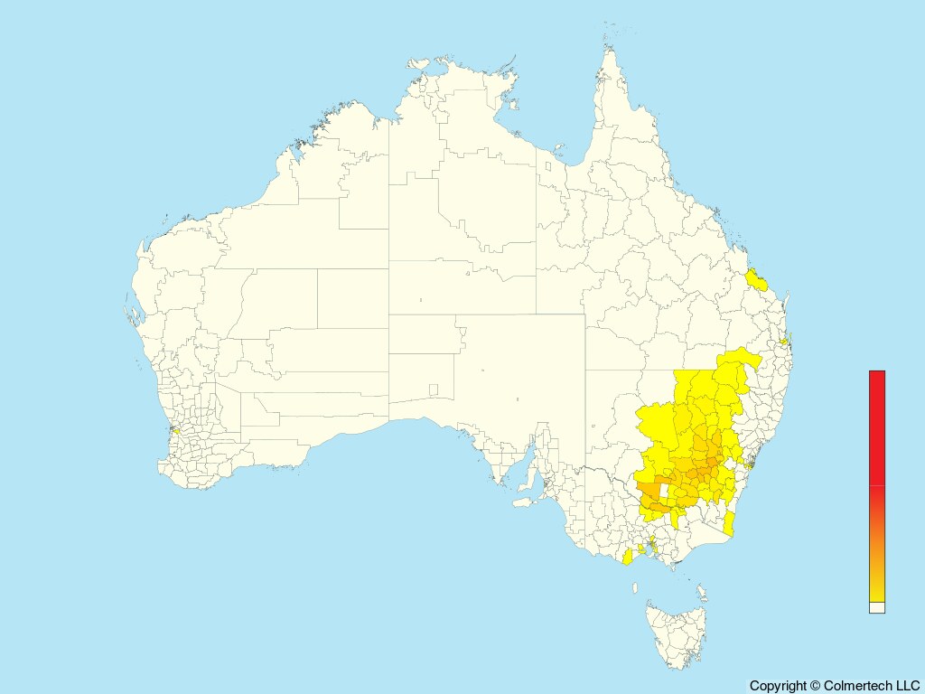 Superb Parrot (Polytelis swainsonii) - Australia