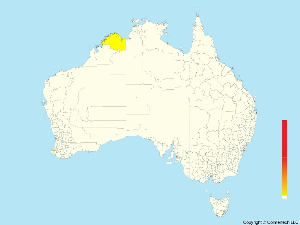 Trindade Petrel (Pterodroma arminjoniana) - Australia