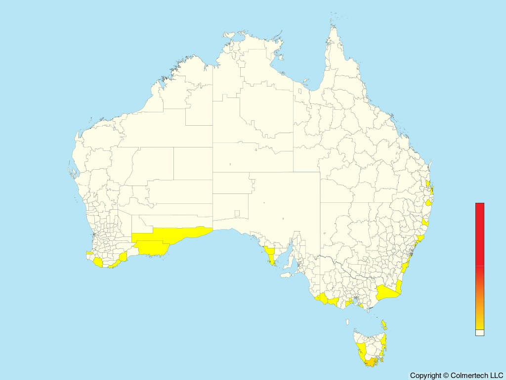 White-headed Petrel (Pterodroma lessonii) - Australia
