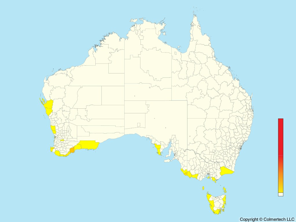Great-winged Petrel (Pterodroma macroptera) - Australia
