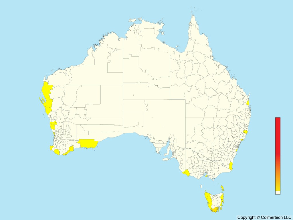 Soft-plumaged Petrel (Pterodroma mollis) - Australia
