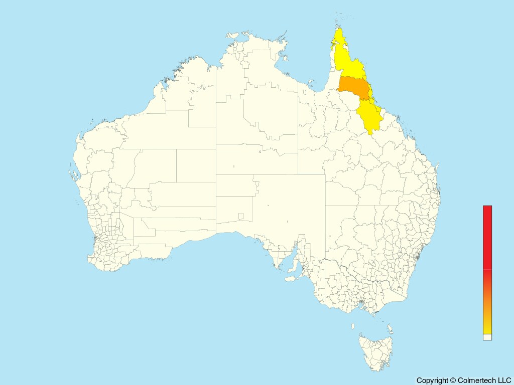 Victoria's Riflebird (Ptiloris victoriae) - Australia