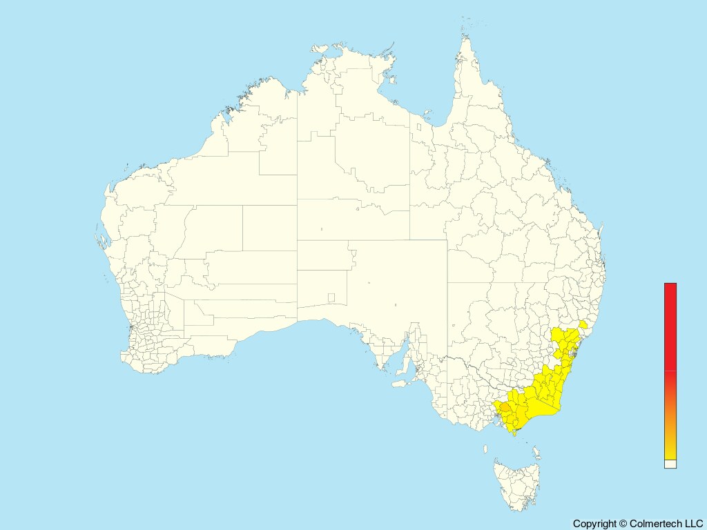 Pilotbird (Pycnoptilus floccosus) - Australia