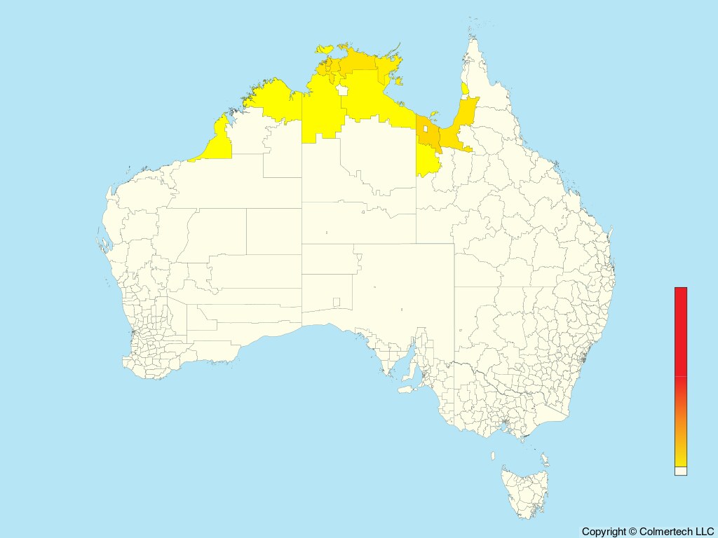 Arafura Fantail (Rhipidura dryas) - Australia