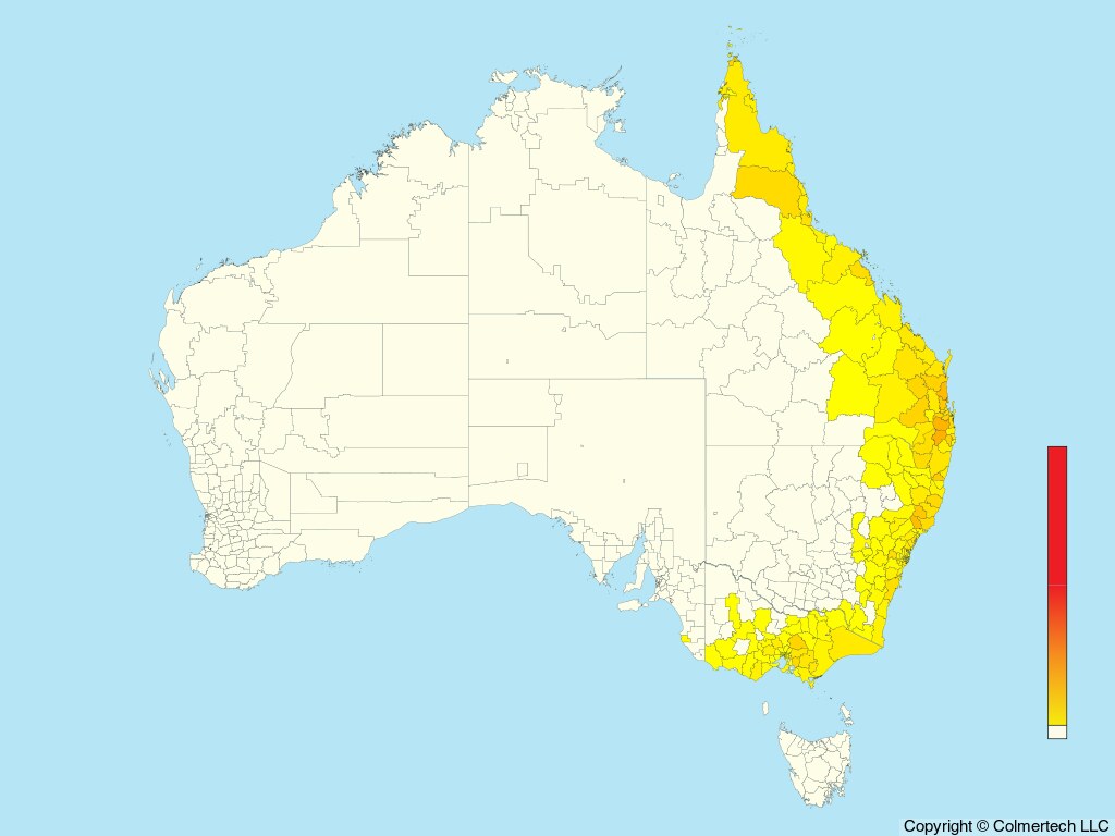 Rufous Fantail (Rhipidura rufifrons) - Australia