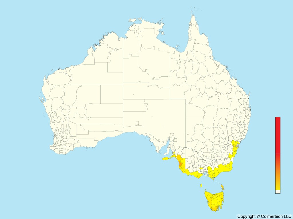 Beautiful Firetail (Stagonopleura bella) - Australia