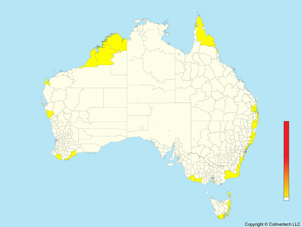 Long-tailed Jaeger (Stercorarius longicaudus) - Australia