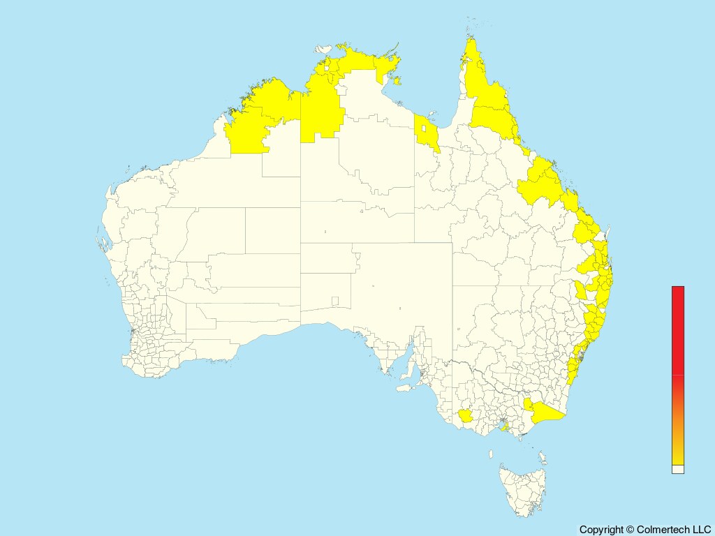 Blue-breasted Quail (Synoicus chinensis) - Australia