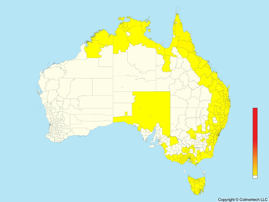 Gray Goshawk (Tachyspiza novaehollandiae) - Australia