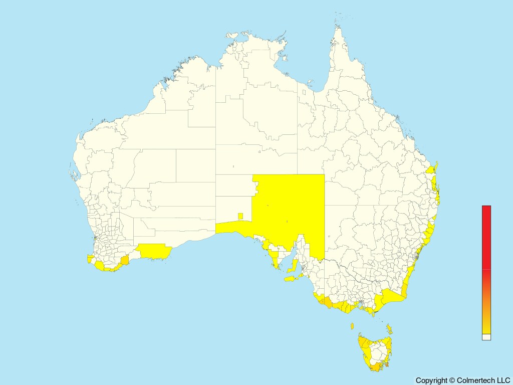 White-capped Albatross (Thalassarche cauta) - Australia