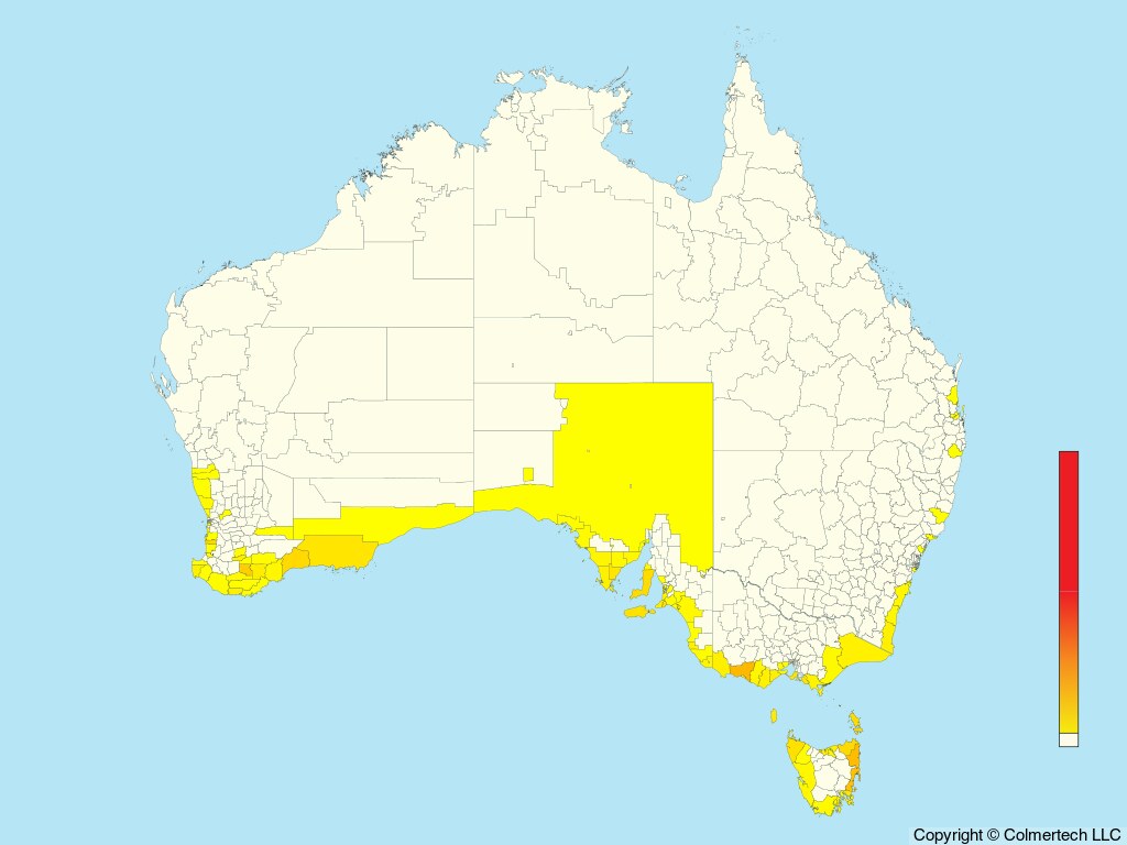 Hooded Plover (Thinornis cucullatus) - Australia