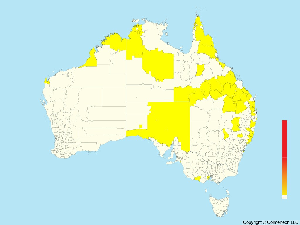 Australasian Grass-Owl (Tyto longimembris) - Australia