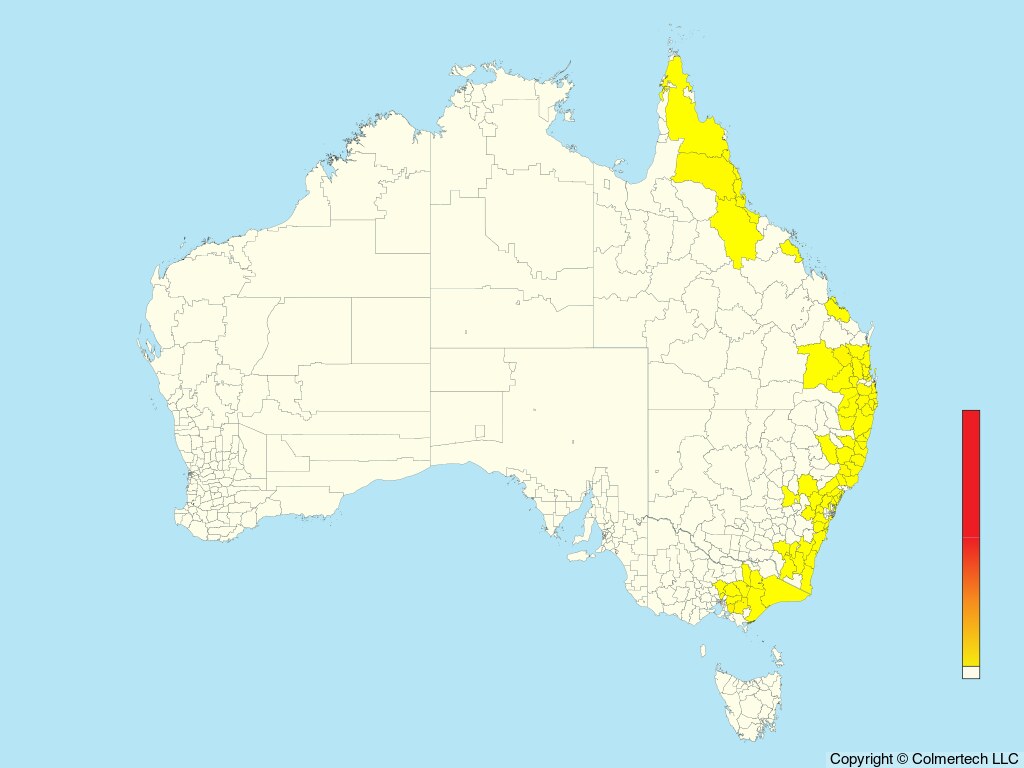 Sooty Owl (Tyto tenebricosa) - Australia