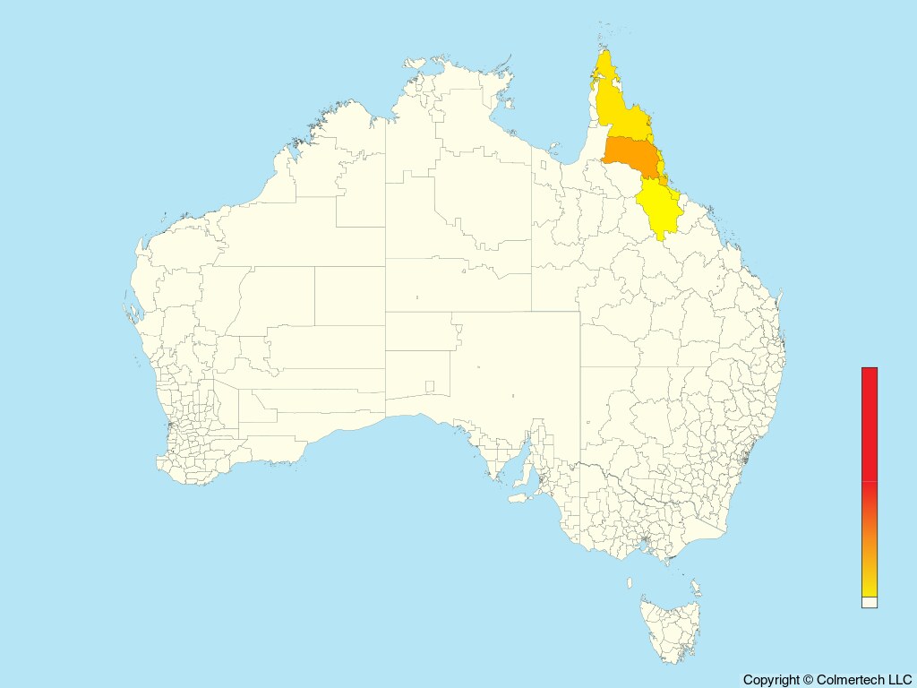 Macleay's Honeyeater (Xanthotis macleayanus) - Australia